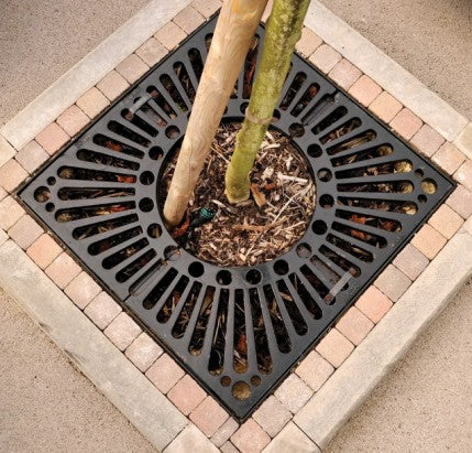 Tree Grilles & Protection