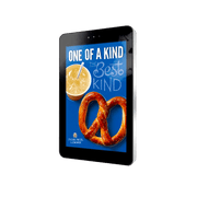 Wall mounted digital signage display