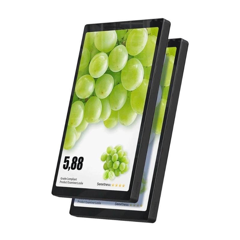 10.1" Dual Screen Display -Compact Double Screen Digital Display for Retail