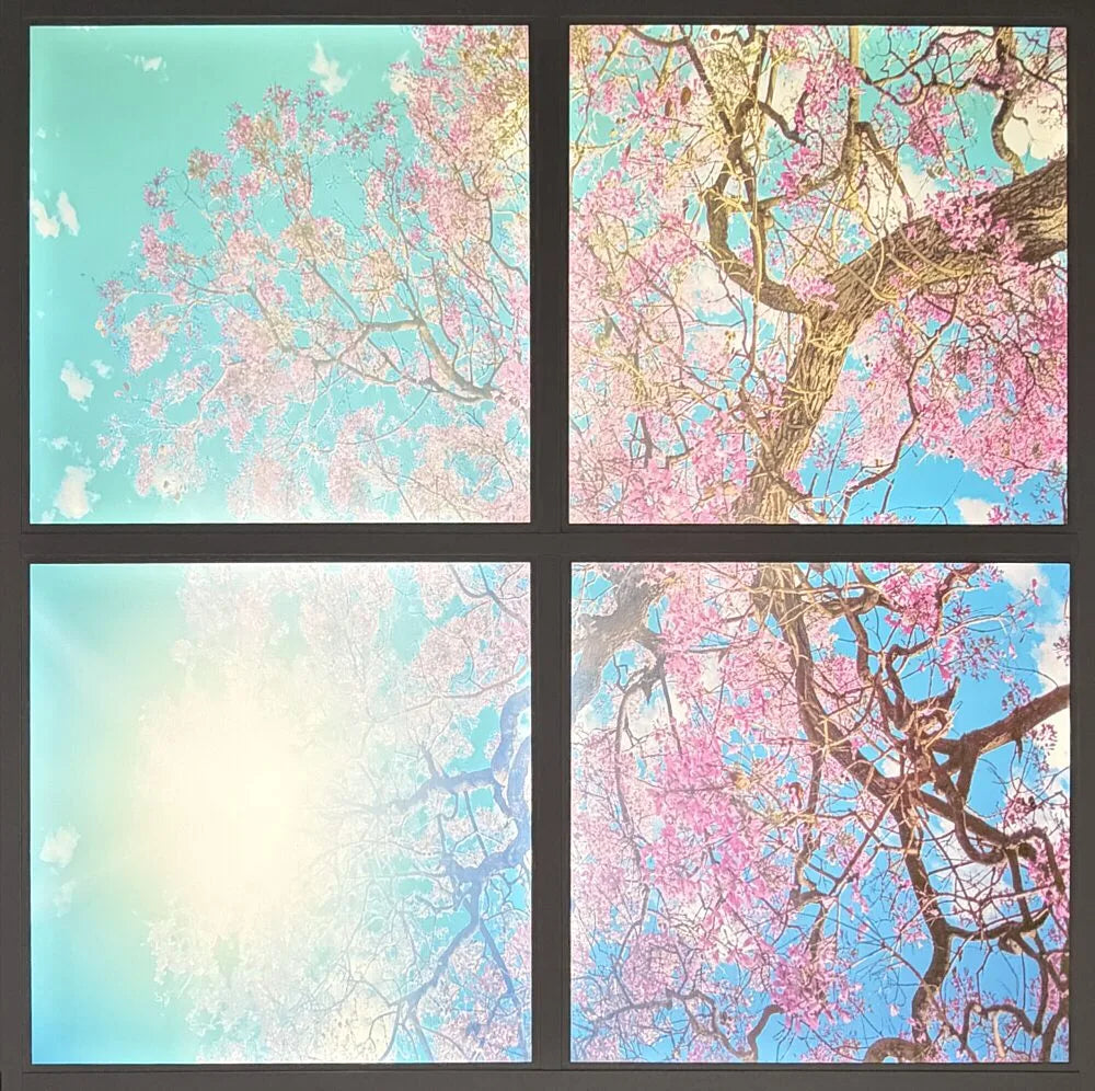 Cherry blossom LED ceiling panel fitted in suspended grid ceiling