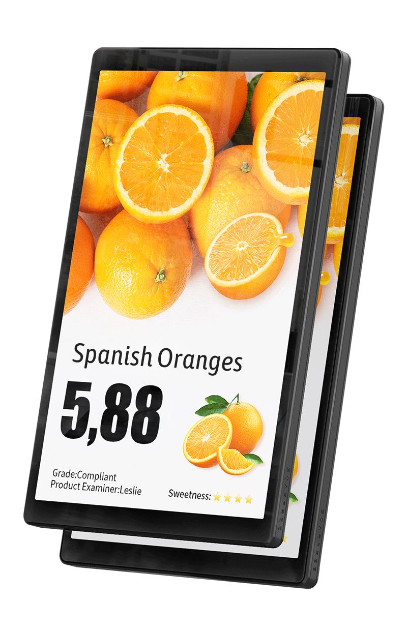 10.1" Single Screen Display -Compact Full Digital Signage Monitor for Retail