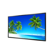 Ultra high brightness professional monitor