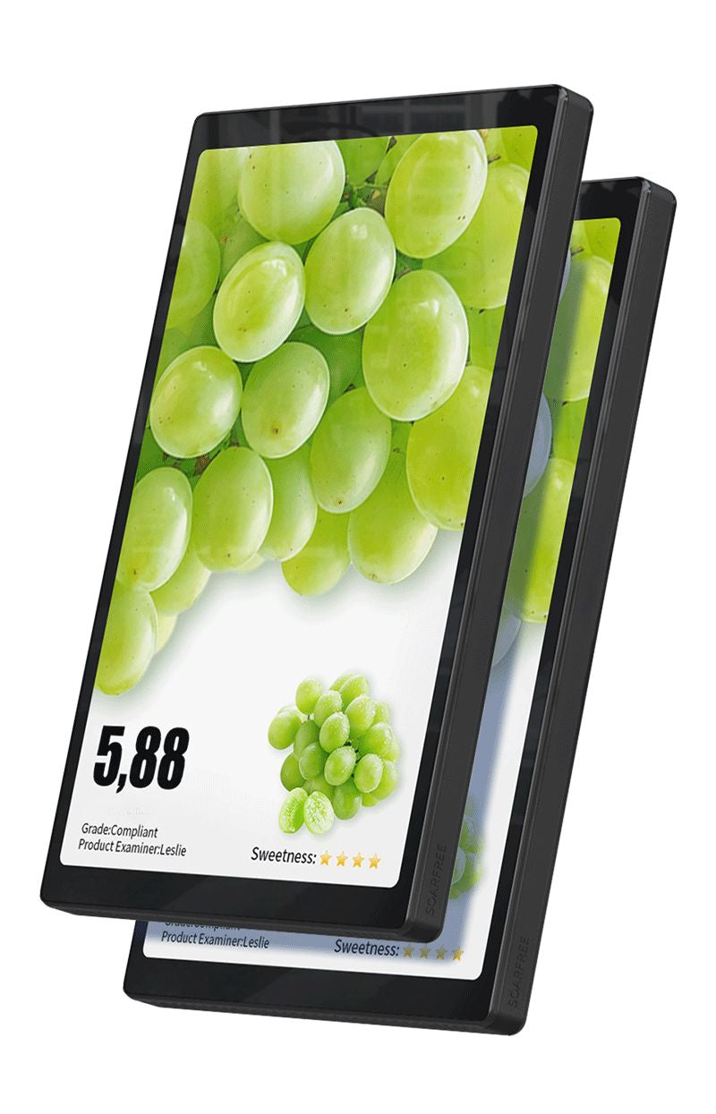 10.1" Dual Screen Display -Compact Double Screen Digital Display for Retail